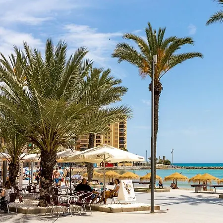 Caballero De Rodas Torrevieja